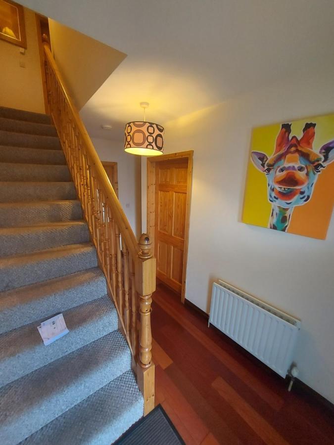 Village Lodge - Carlingford Luaran gambar